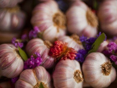 Как избавиться от запаха чеснока изо рта и на руках