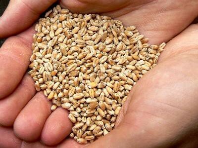 Продукты содержащие сложные углеводы